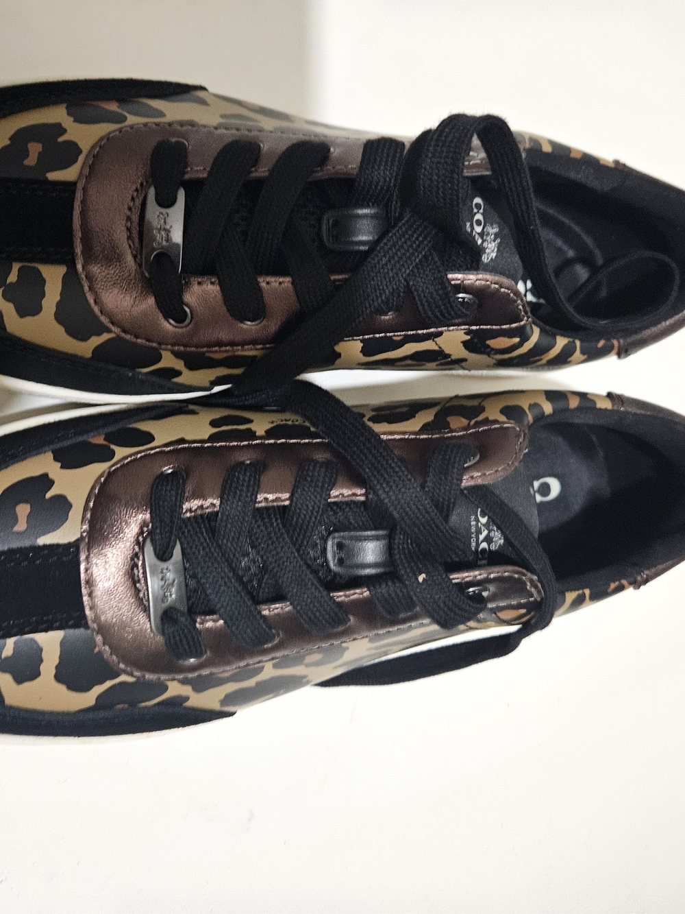 Coach Women's Leopard Print Lace-Up Sneakers in Brown/Black